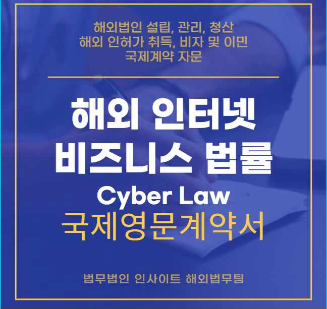  해외 인터넷 비즈니스 법률 Cyber Law