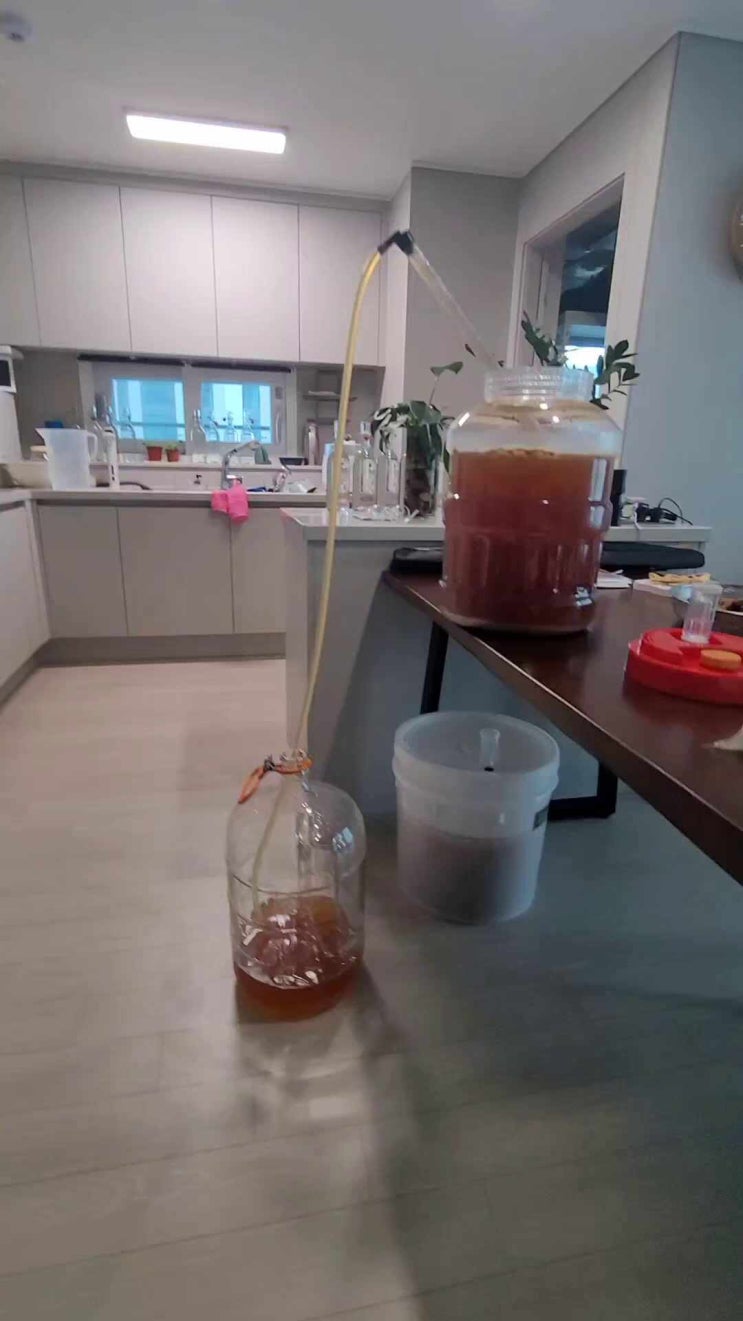 Pale ale racking(침전물거르기) : 네이버 블로그