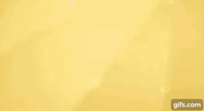 드디어 완성된 대한민국 4대 우산씬.gif (출처 더쿠넷)