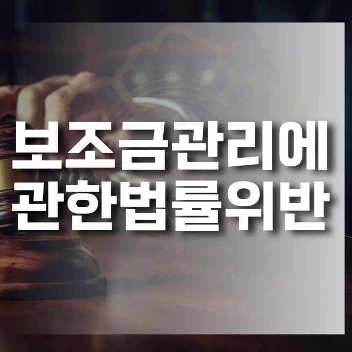  보조금부정수급 보조금관리법위반 처벌과 대응 방법