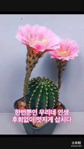분당법무사 1. 주민등록초본 대리발급시  2. 주민등록초본대리발급시  3.가족관계증명서 대리....