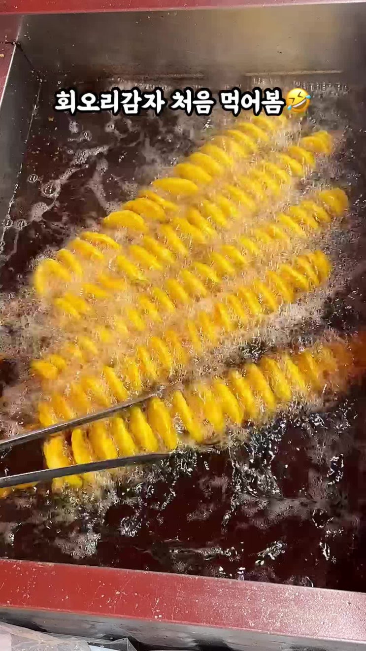  회오리감자 첨 먹어봐요 맛도리