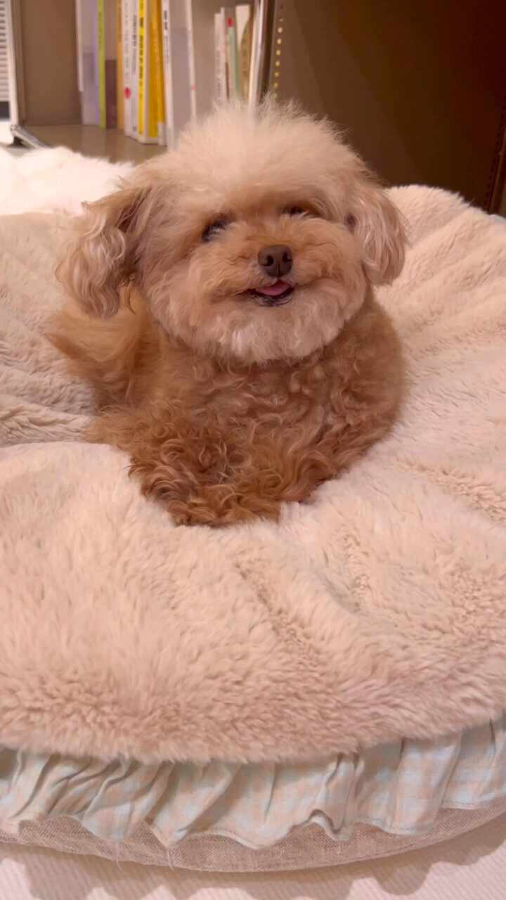  증거를 직접 보여주는 용의자
