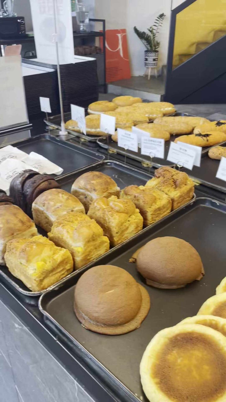  청주시내빵맛집 겸하당 본점