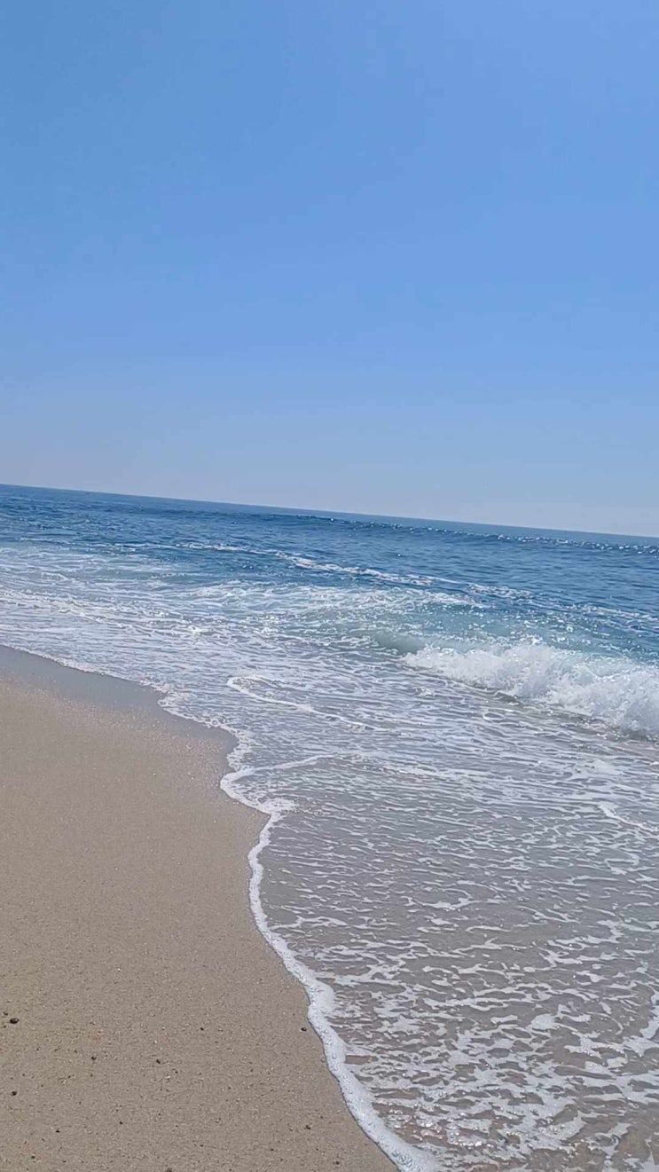  해변