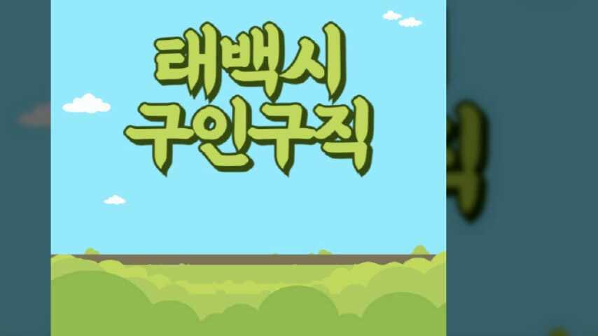 태백시 일자리 구인구직 260가지 (벼룩시장, 잡코리아, 공무직, 사람인, 교차로)