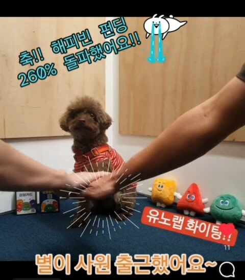  즐거운 공감대화의 시작, 감정&창의성카드