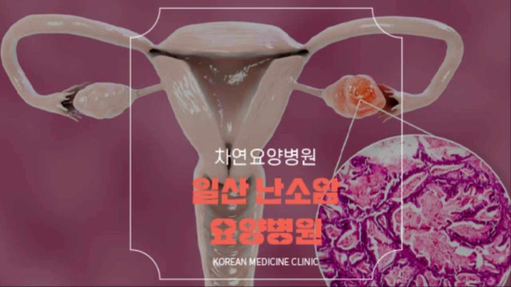  일산난소암요양병원 면역력 강화 균형잡힌 영양섭취로