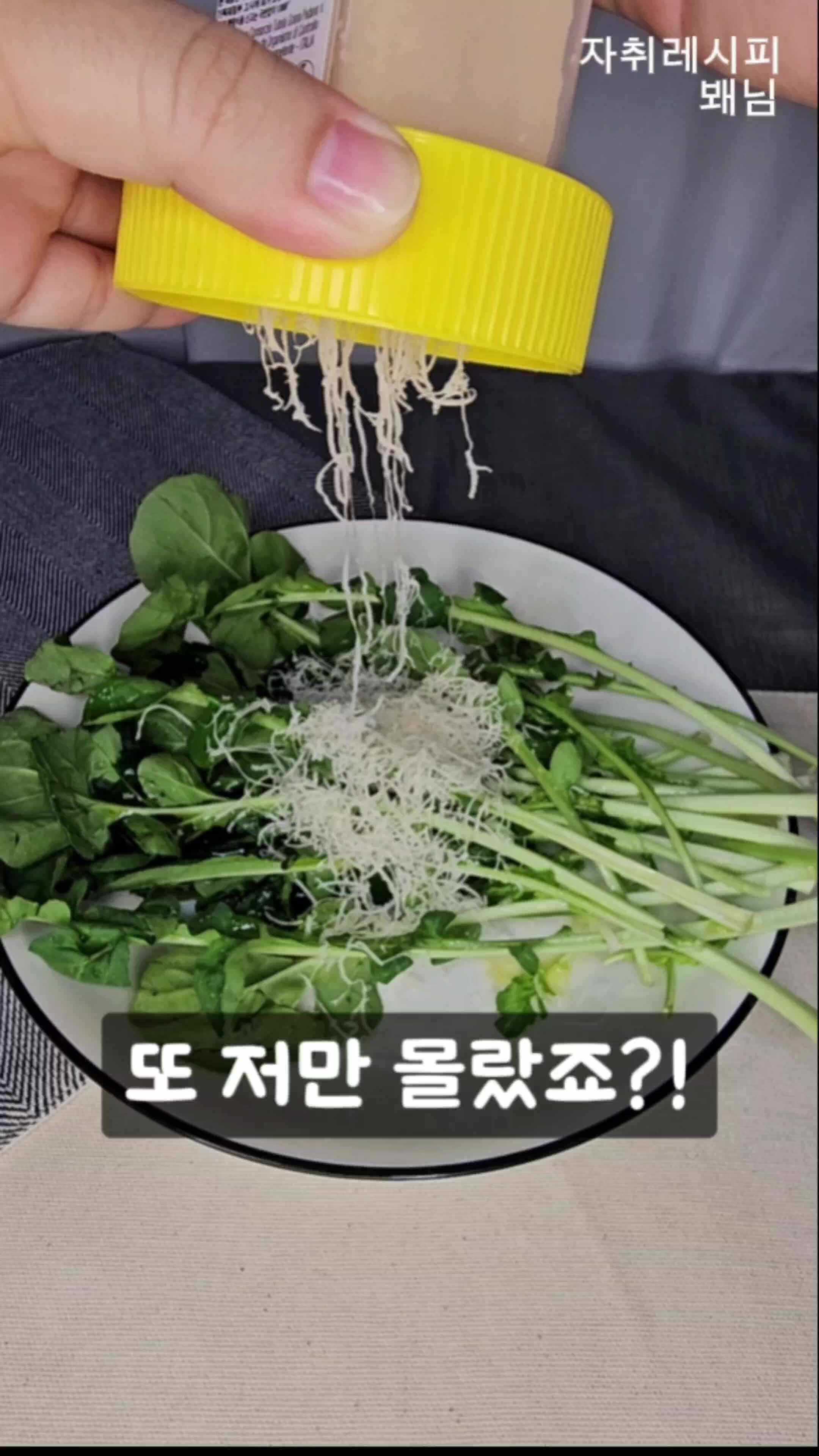 치즈 그라인더 고민하다가 산 아그리폼 지라 그라타 그라나 파다노 일체형 후기