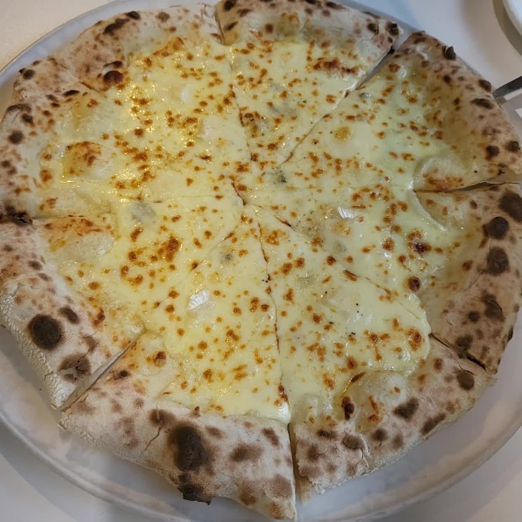  포항피자맛집 전통화덕피자 피즈PIZ