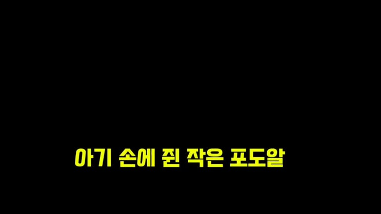  너무 달달한 씨없는 포도, 우리몸에 해롭다? 진실공방과 건강상식