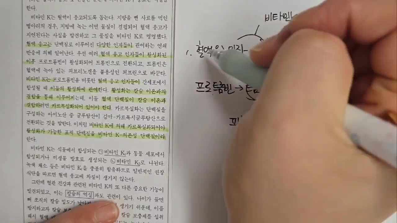 비타민K의 기능 지문 해설 <2023학년도 6월 모의고사><모량독서강의>