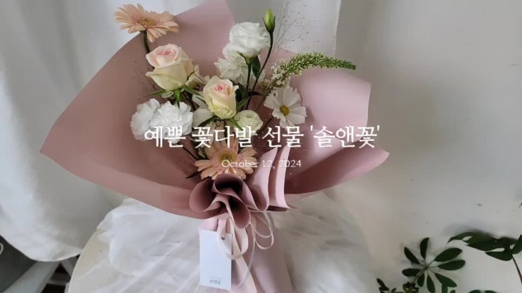 꽃 선물 고민? 수성구 꽃집 솔앤꽃에서 예쁘고 러블리한 꽃다발 픽!