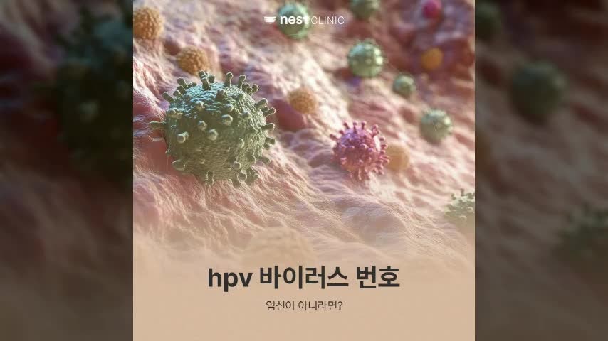 hpv 바이러스 번호 증상 고위험군 완치 가능성