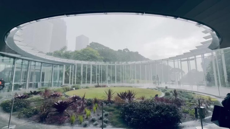 [시드니] 조경이 아름다운 로얄 보타닉 가든 카페 추천 The Calyx Leaf De....