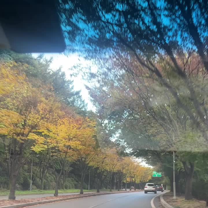  화담숲 갔다 온 후기