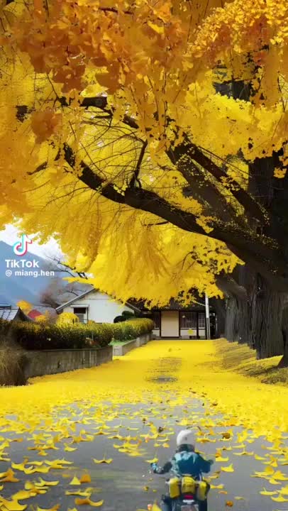 가을이 주는 아름다움 : 네이버 블로그