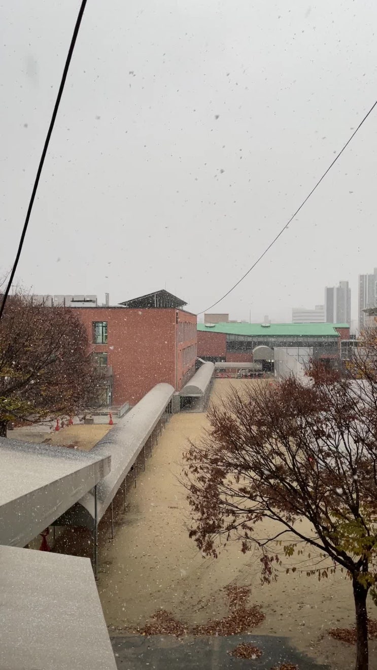 슬쌍디아빠 이동섭 교단일기 FILE 305 / 2024년 첫눈
