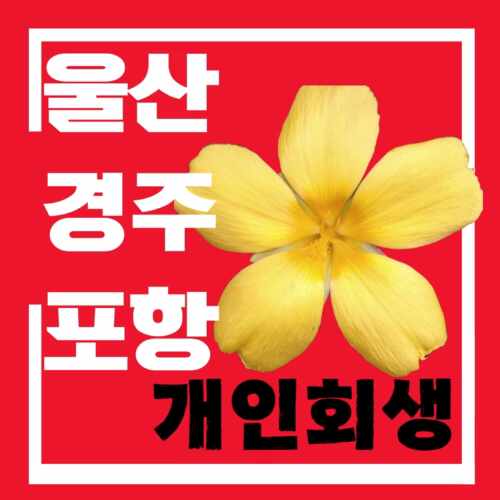  울산, 경주, 포항 서울회생법원 개인회생 인가 결정 법적 대변은