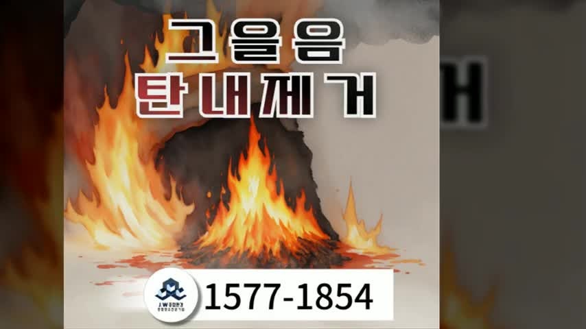 팔룡동 고양이냄새제거업체의 효과적인 청소 경험기