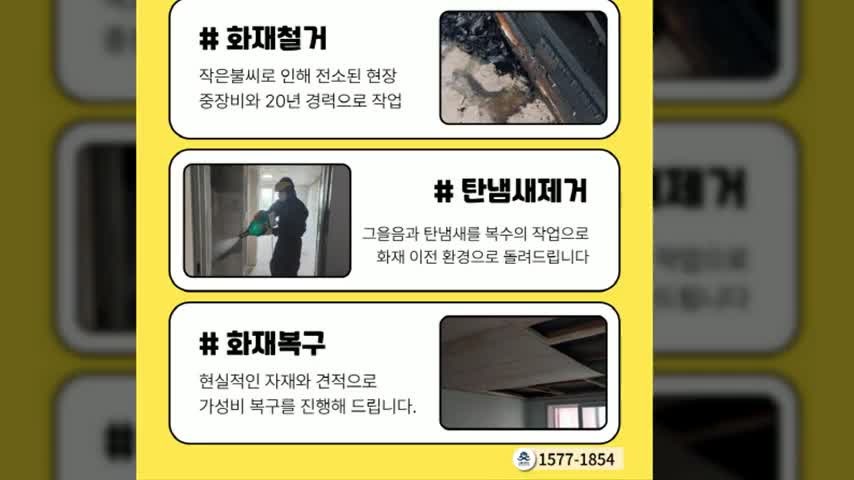 근화동 고양이냄새제거업체, 전문 청소 서비스 체험기