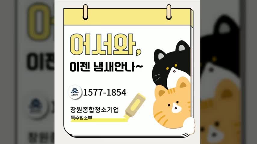 토월동 고양이냄새제거업체의 서비스를 이용한 후기를 공유합니다