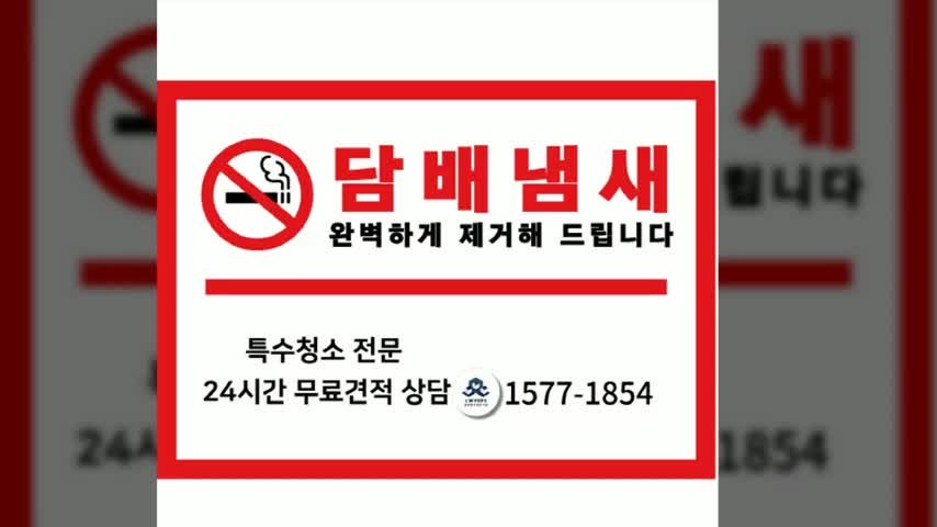 인사동에서 고양이냄새제거 업체 이용 후기와 추천