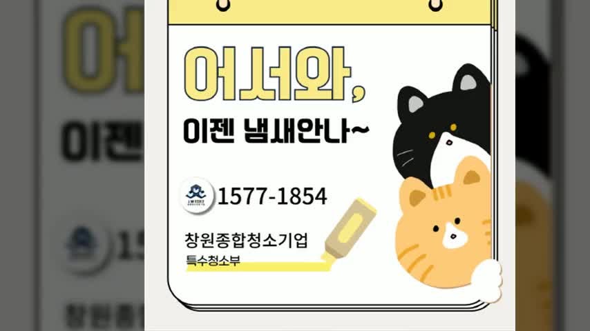 지귀동 고양이냄새제거업체를 통해 느낀 상쾌한 변화