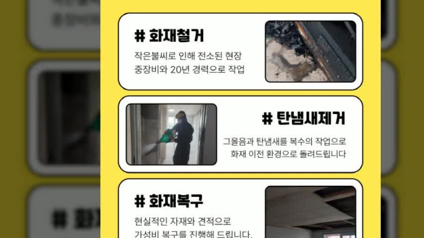 반계동에서 경험한 전문 고양이냄새제거업체의 효과