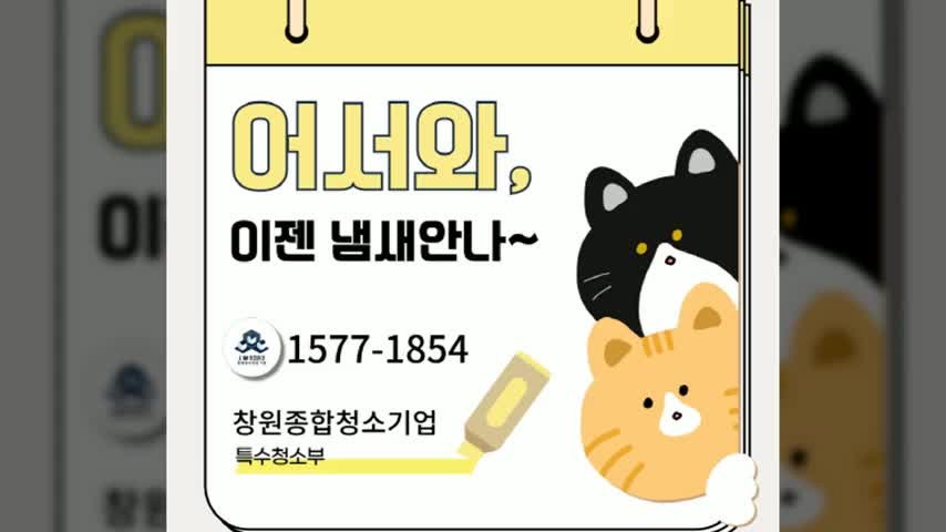 사림동 고양이냄새제거업체 선택의 중요성에 대한 경험담