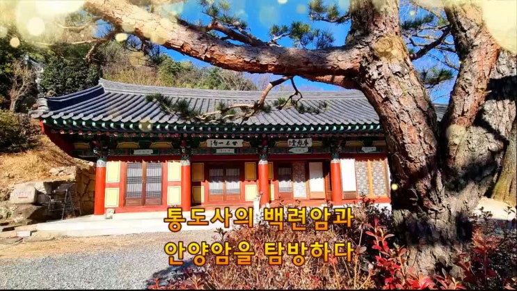 통도사 암자순례2 (백련암과 안양암) : 네이버 블로그