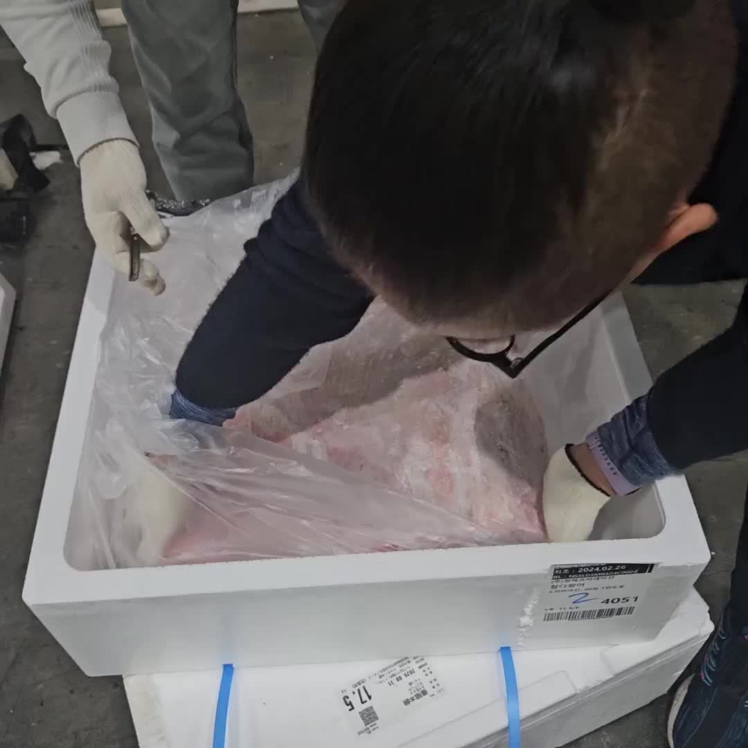 자갈치 시장 여정