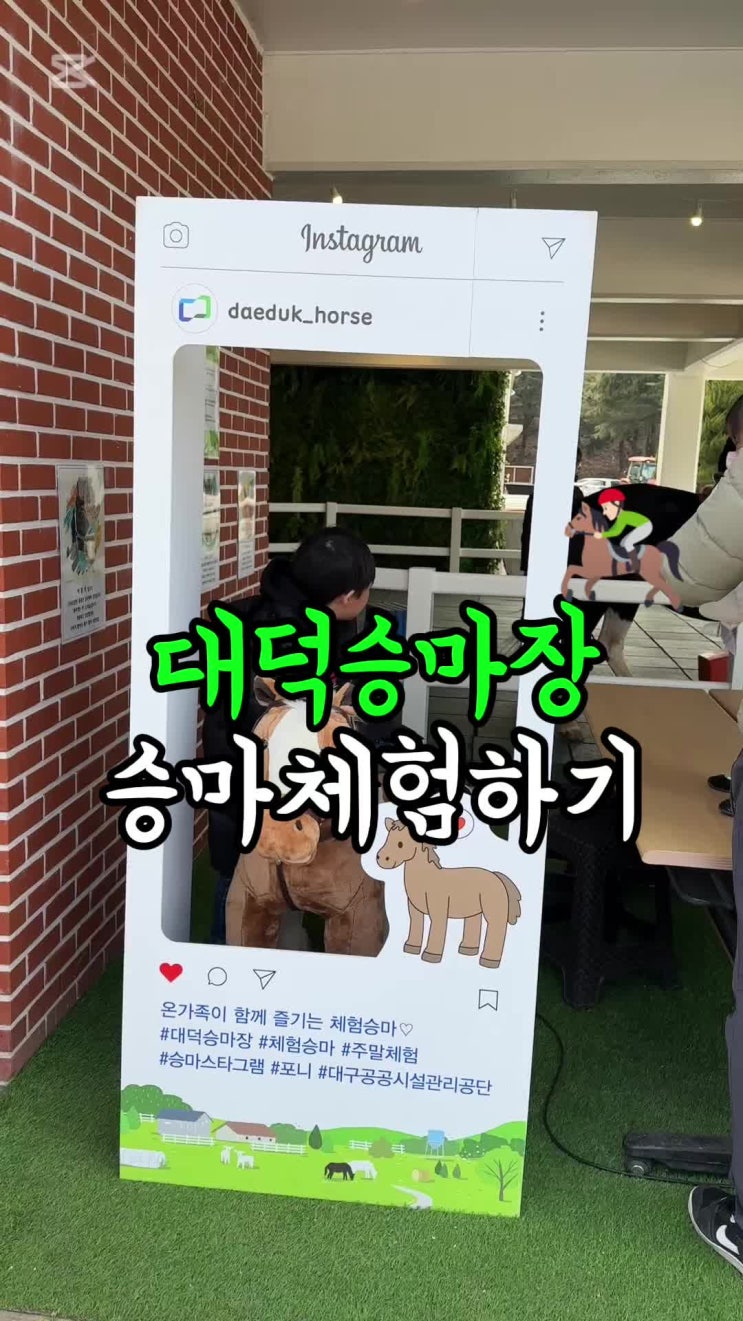  대구 남구 앞산 어린이 승마체험 가성비 대덕승마장