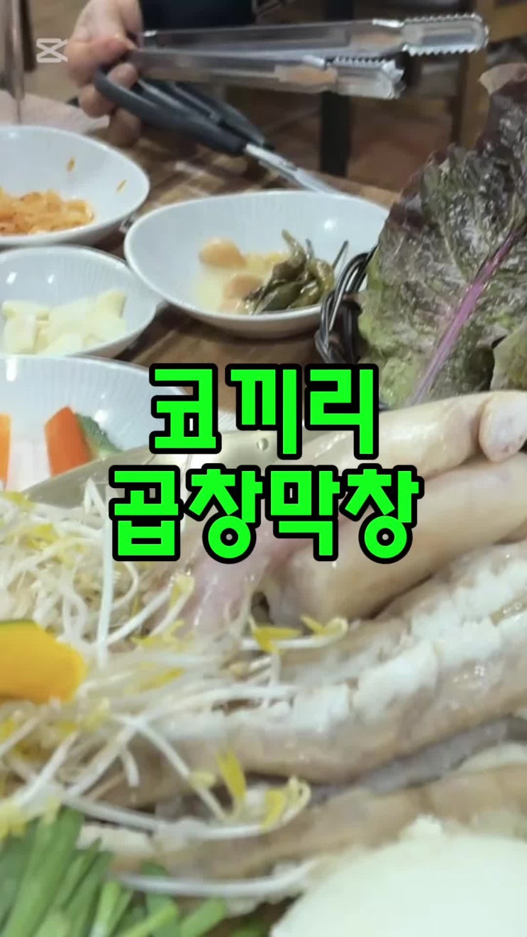  대구 장기동 맛집 대창구이 곱창전골 술집 코끼리곱창막창