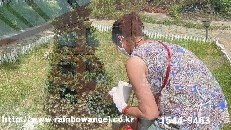  춘천 강아지 장례식장 마지막 순간을 위한 체크포인트