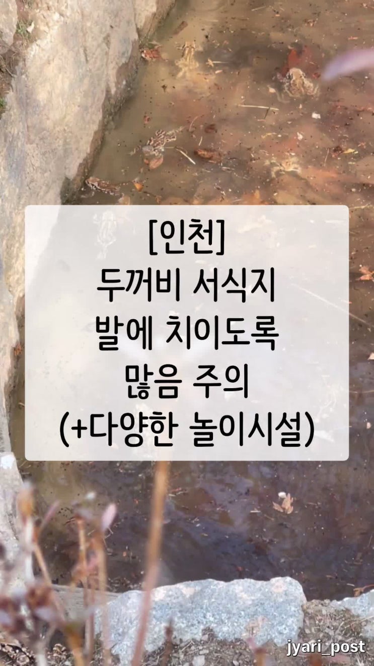  [부평] 발에 치일정도로 많은 두꺼비서식지 "인천나비공원" (기본정보, 주차, 화장실공사, 다양한놀이시설, 곤충표본전시관)
