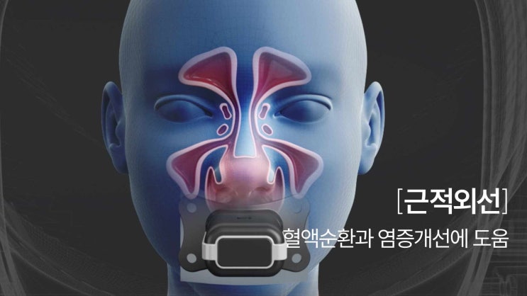  축농증 비염 부비동염 검사장비 추천