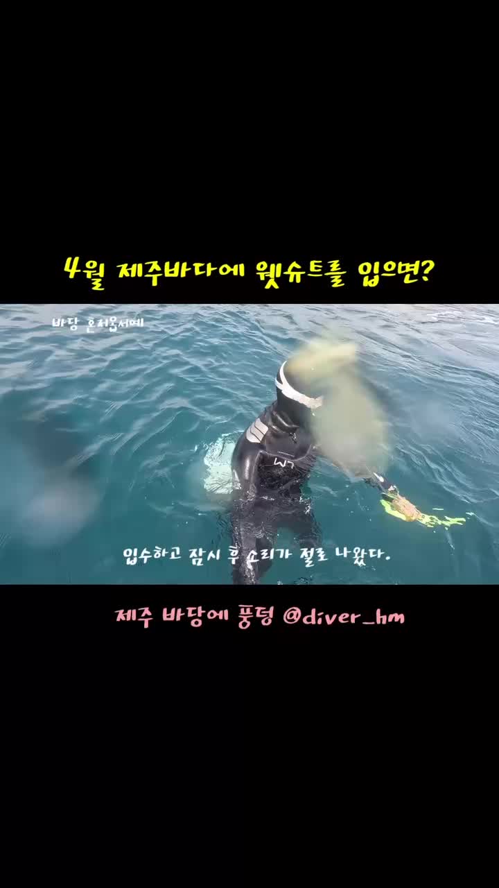  4월 제주도 스노쿨링 서귀포 스노쿨링 여름이 아닌데 호핑 가능할까?