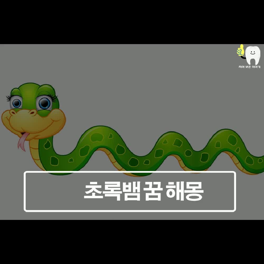 초록색 뱀 꿈 큰 뱀 꿈 다양한  해몽 알아봐요.
