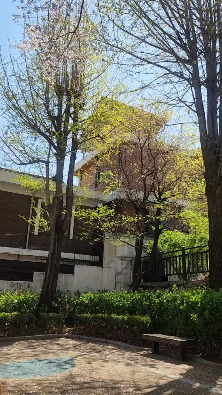  소소한 치유 3 : 공간이 주는 평화