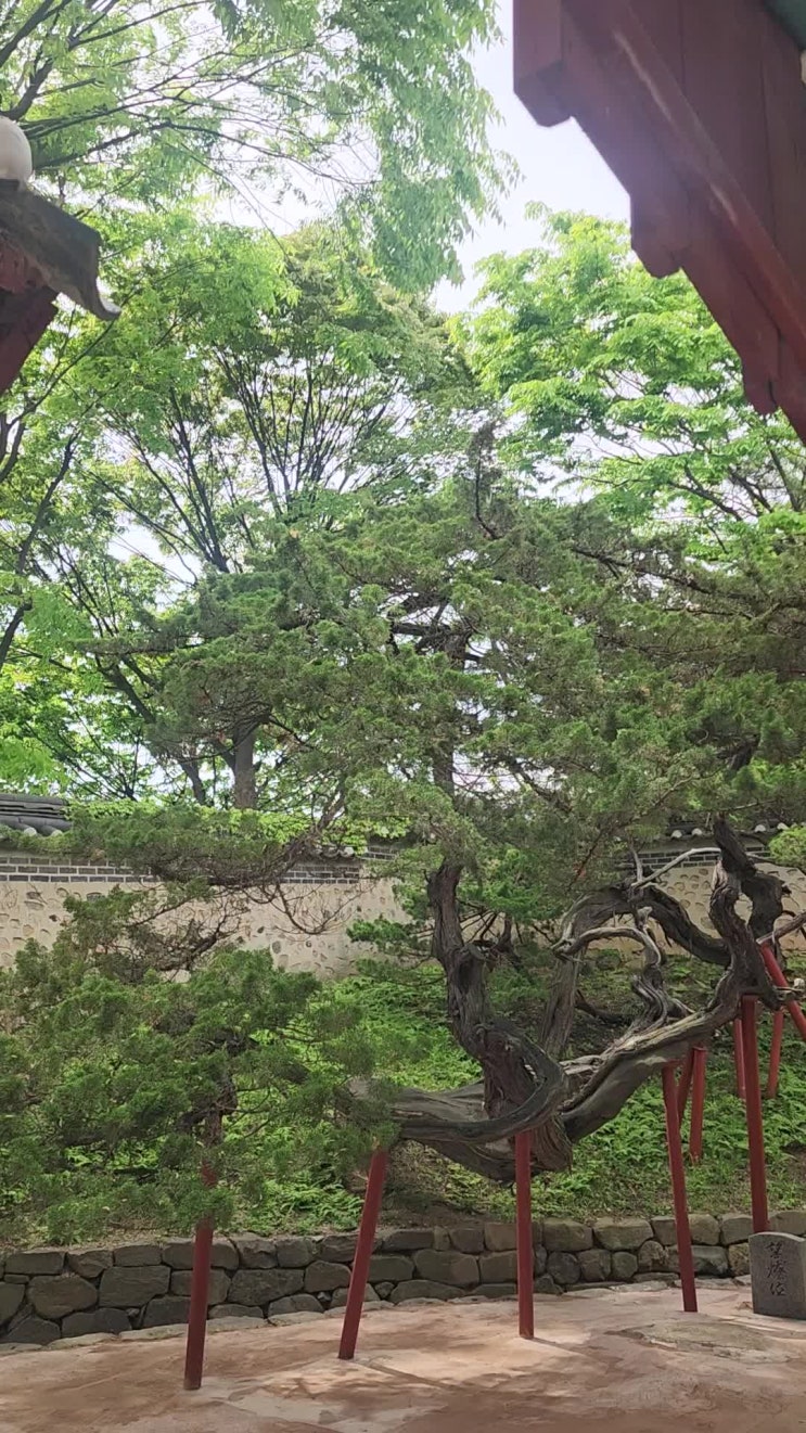  18. 한순간! (넓은 평야 같은 순간)