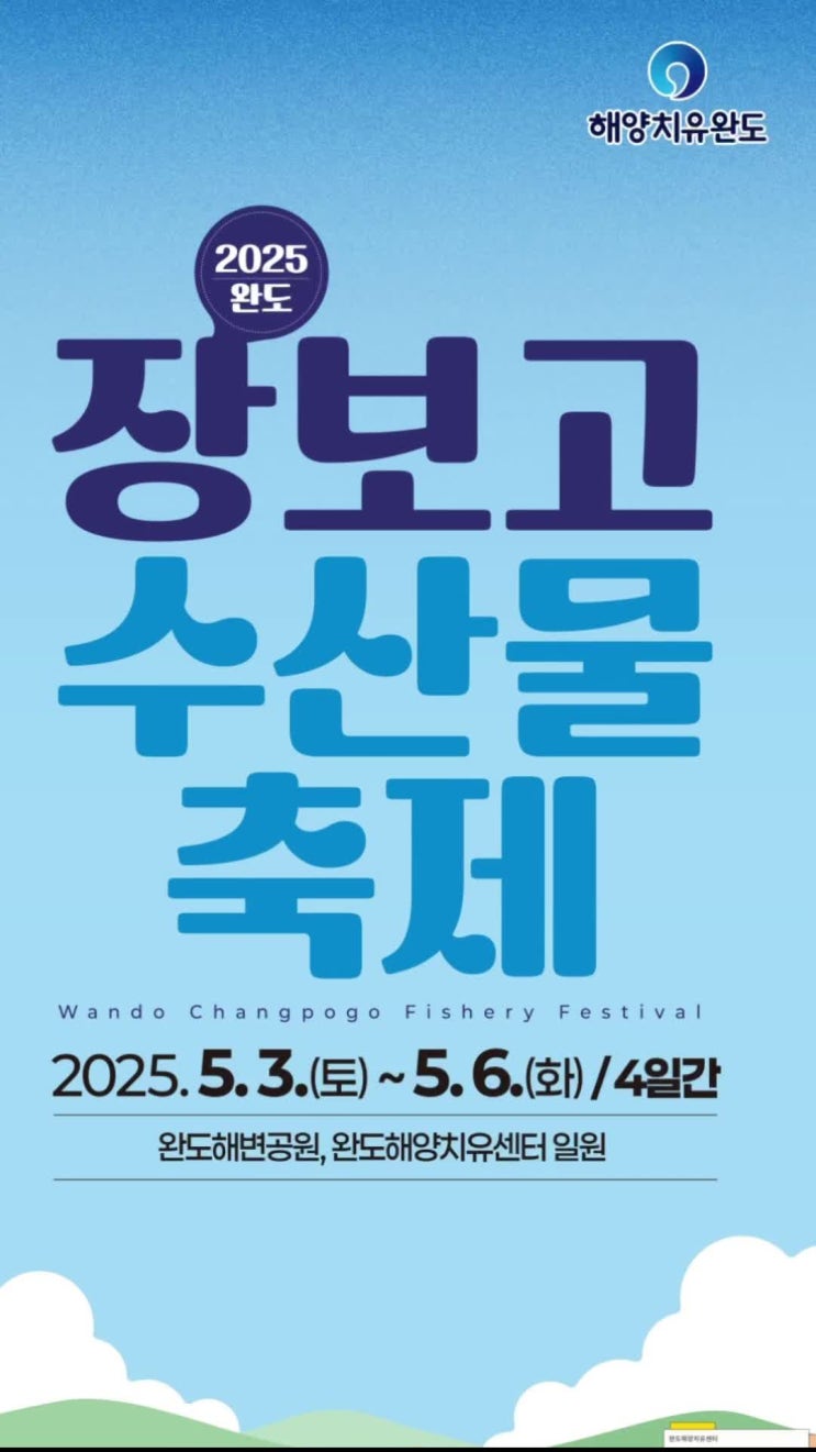  완도 장보고축제 후기