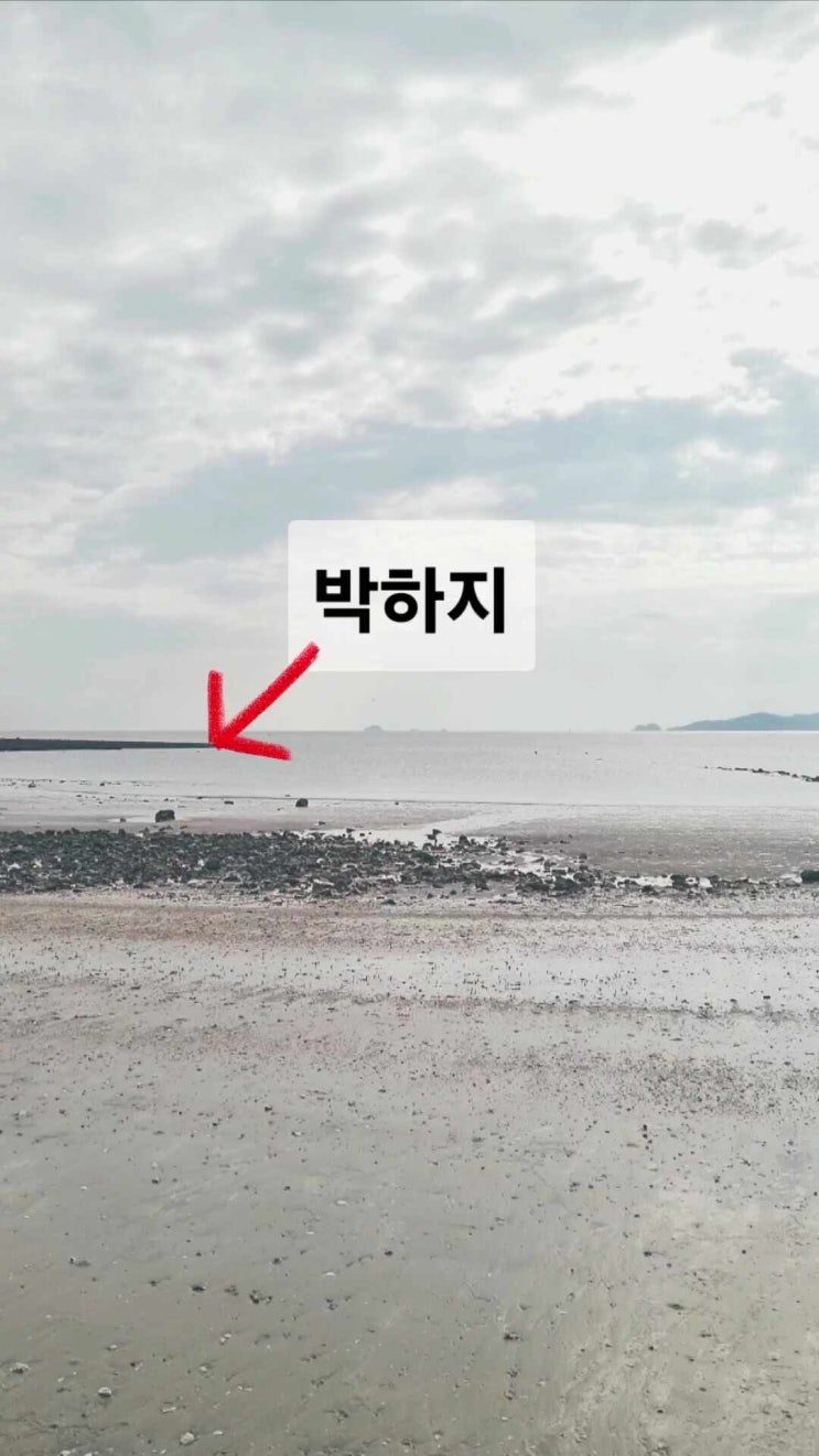  태안 선착순 캠핑장 예약 필요x