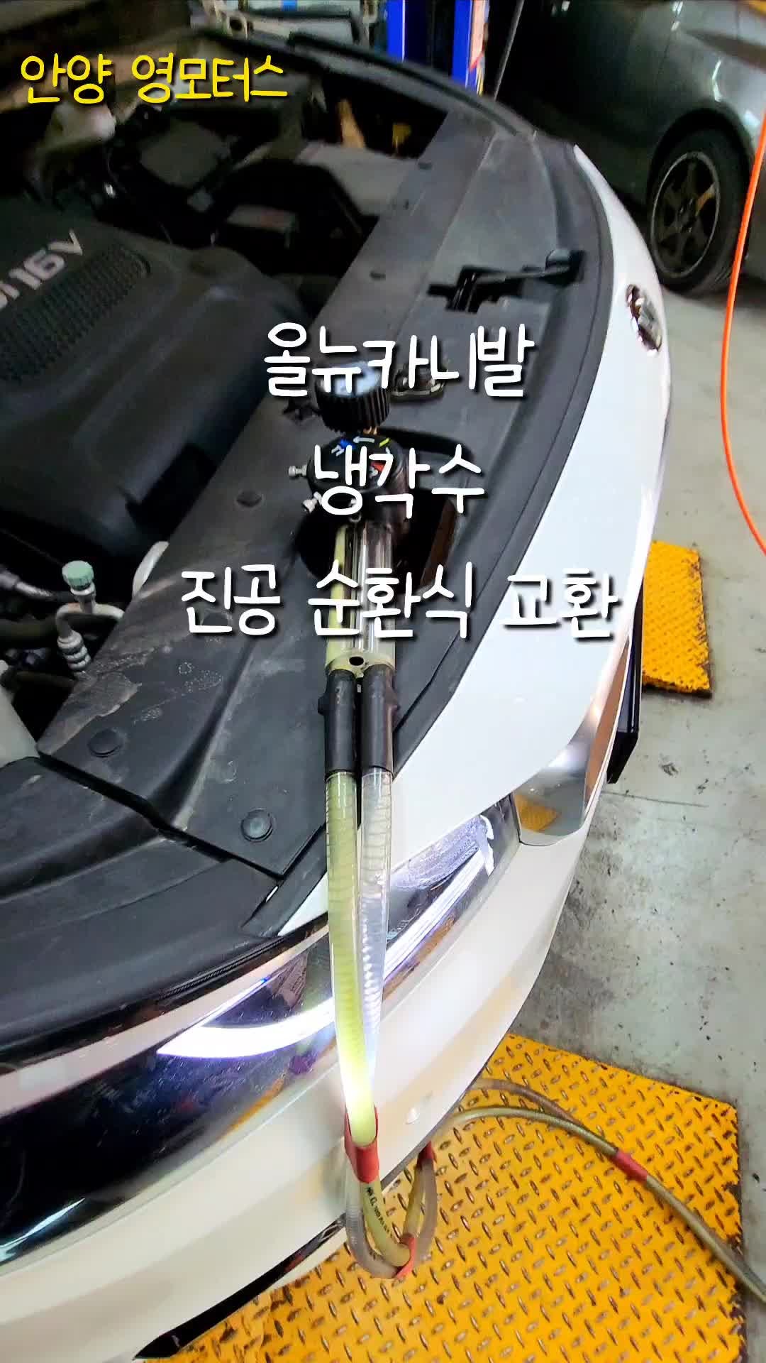 올 뉴 카니발 냉각수 교환과 미션오일 관리해 주기!!!