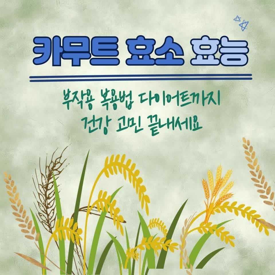 카무트 효소 효능 부작용 복용법, 다이어트까지 건강 고민 끝내세요