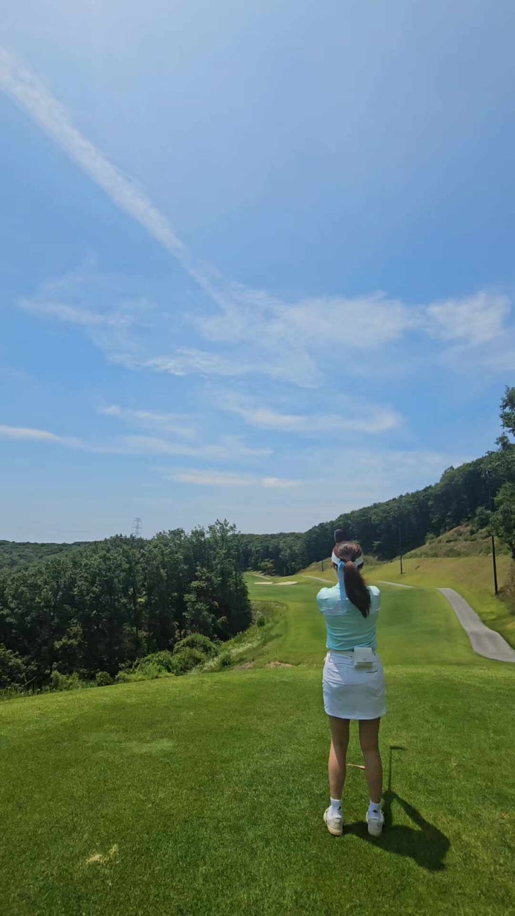  용인 골프장 세현cc 라운딩 후기 : 카트, 그린피, 난이도, 그늘집
