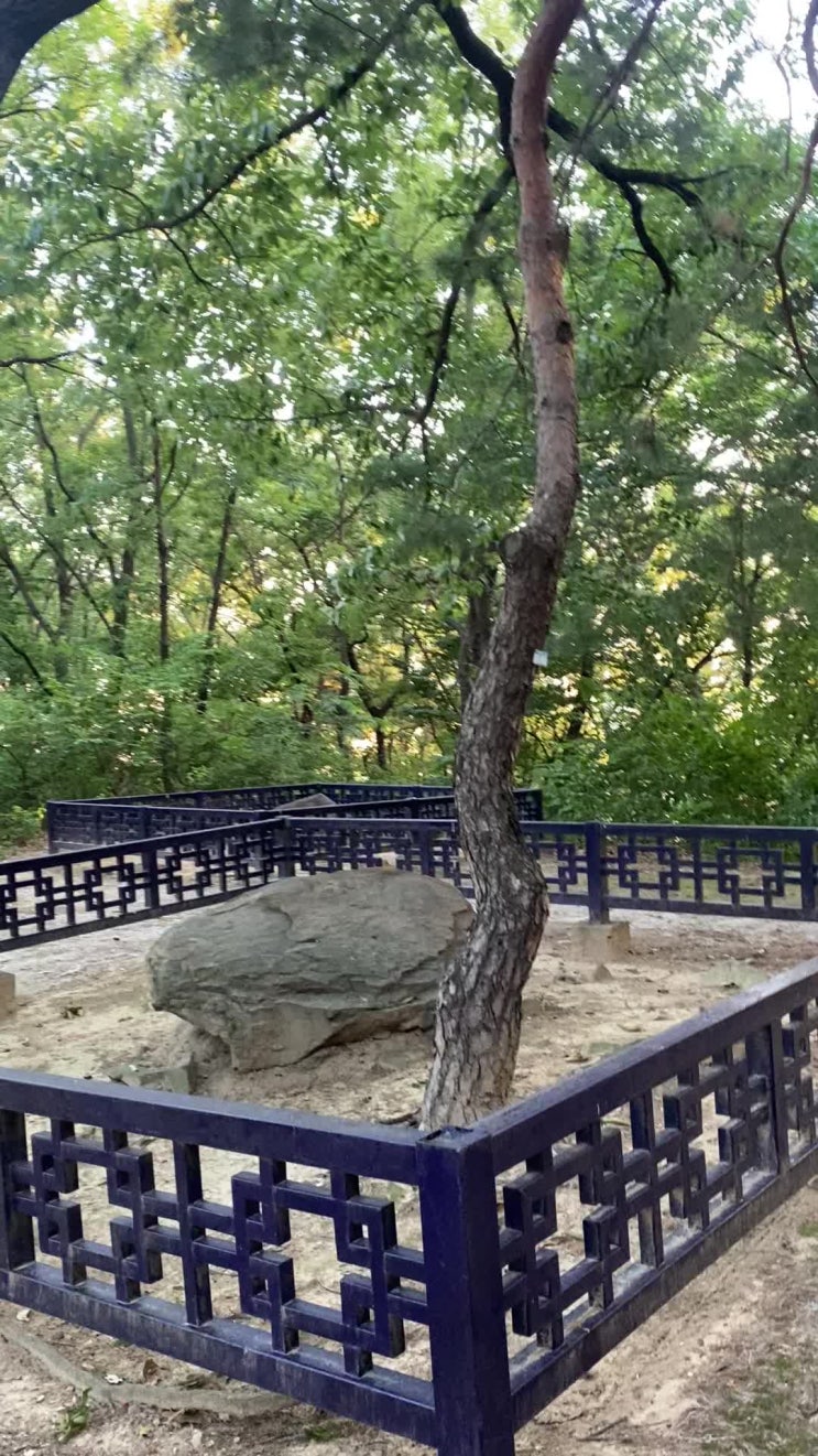  수원 팔달산에서 만나는 선사시대 지석묘와 채석장