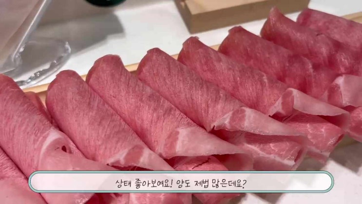  봄담아 마두 취향 다른 친구랑 가도 걱정 없는 무한리필 샤브샤브