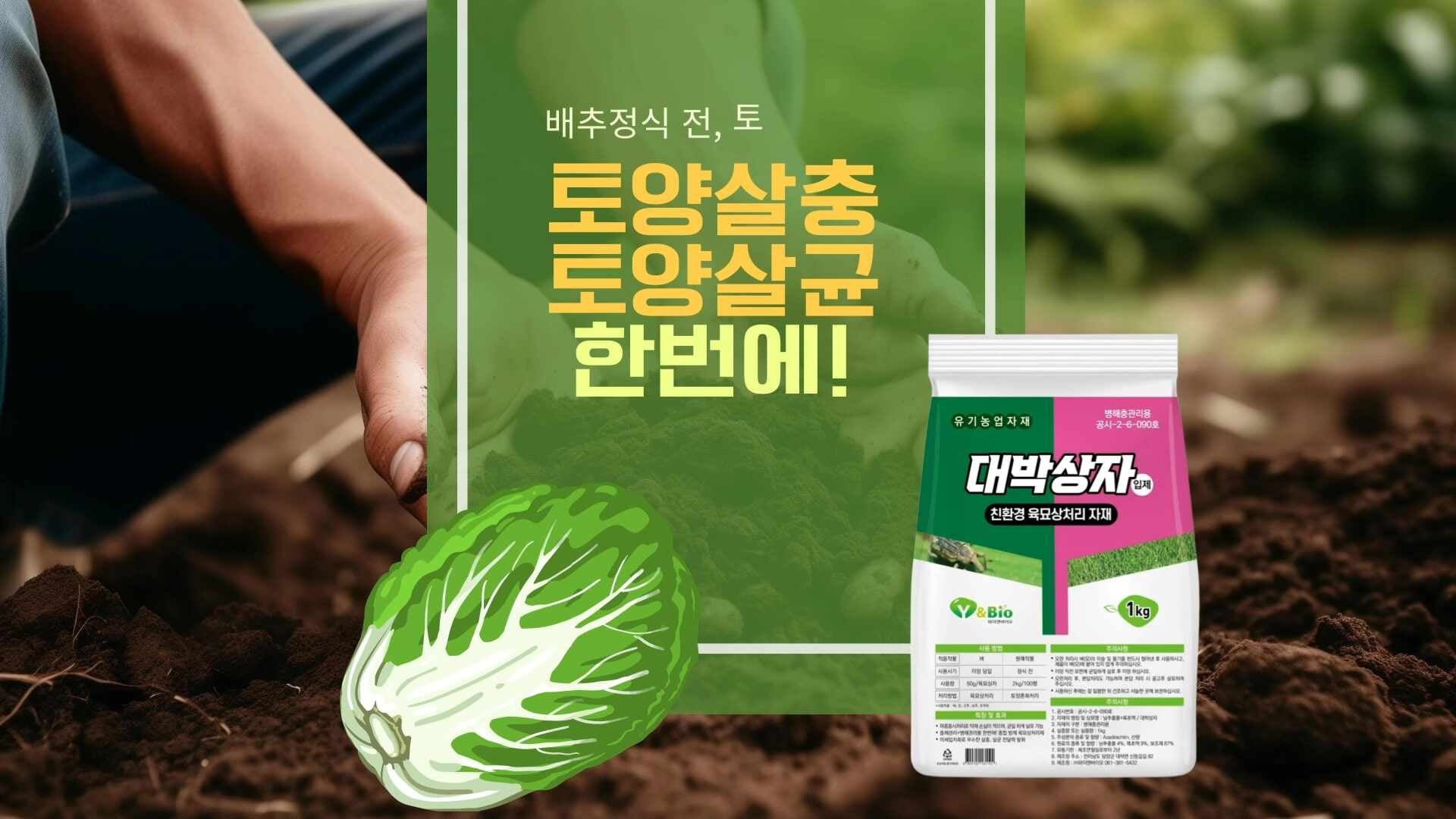 배추 정식 전, 배추 토양살충제는 살충과 살균을 동시에 해결하는 대박상자 강력 추천!