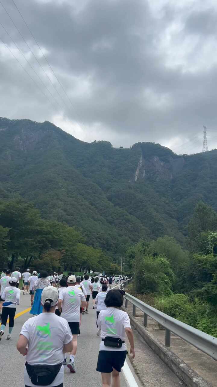 2025 정선동강 마라톤 후기 정보